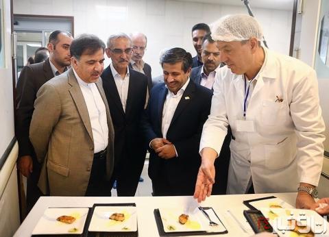 عکس خبري -سود  پخت‌وپز غذاي ايراني در جيب اتريشي‌ها 