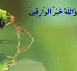 عکس خبري -روزي انسان قسمت شده است