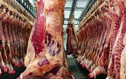 عکس خبري -بازار گوشت اشباع شده است؛ کاهش نرخ دام زنده در بازار