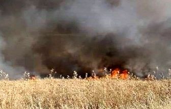 عکس خبري -آمريک امزارع سوريه را به آتش کشيد