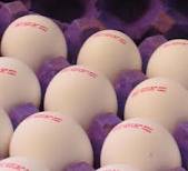 عکس خبري -تخم‌مرغ دوباره گران شد 