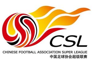 عکس خبري -تعليق همه فعاليت‌هاي ورزشي در چين