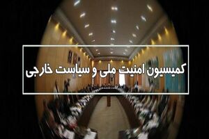 عکس خبري -بررسي قطعنامه شوراي حکام با حضور ظريف و صالحي در مجلس