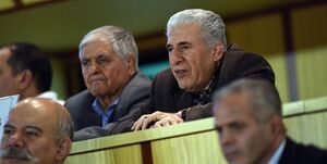 عکس خبري -جوادي: فدراسيون کشتي نياز به راهنمايي بزرگترها دارد/ مديران کنوني جوان هستند و کوتهبين!