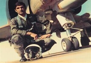 عکس خبري -خلبان محمديوسف احمدبيگي به همرزمان شهيدش پيوست