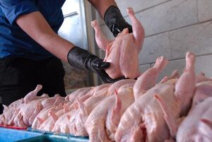 عکس خبري -وعده بي‌سرانجام مسئولان براي تنظيم بازار مرغ