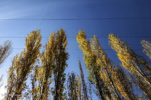 عکس خبري -پيش‎‌بيني آسمان صاف براي تهران