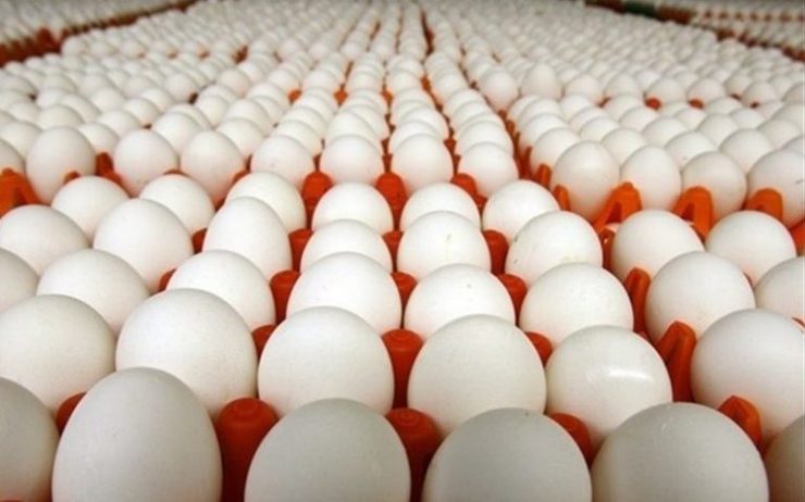 عکس خبري -ممنوعيت صادرات تخم‌مرغ به چه قيمتي؟
