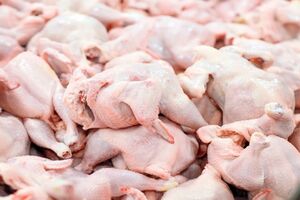 عکس خبري -يارانه ?.? ميليارد دلاري براي توليد گوشت مرغ کجا رفت؟