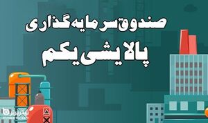 عکس خبري -پالايشي يکم صندوقي براي توزيع ضرر