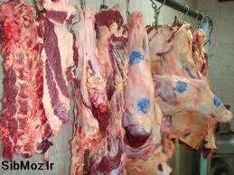 عکس خبري -توزيع گوشت ارزان از فردا