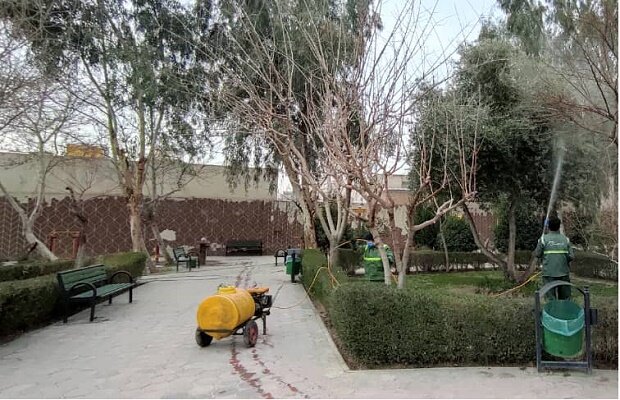 تکميل پرونده‌هاي گياه پزشکي درختان کهنسال در بخش مرکزي شهر تهران