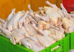 عکس خبري -چرا مرغ گران شد؟