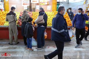 عکس خبري -رئيس اتحاديه فروشندگان ميوه: درباره دلال‌ها فقط مي‌توانيم انتقاد کنيم