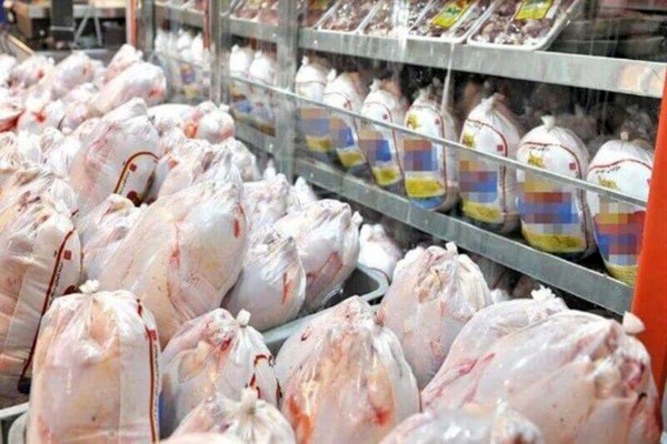 صبح امروز بيش از ???? تن مرغ در تهران توزيع شد/ بازار درحال بازگشت به آرامش است