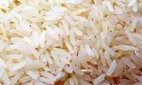 عکس خبري -واردات برنج ممنوع شد 