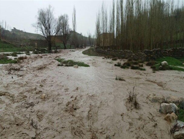 سيل ?? ميليارد ريال به کشاورزان جغتاي در خراسان رضوي خسارت زد