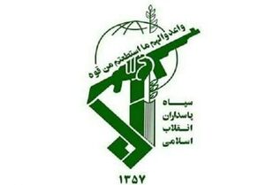 عکس خبري -توقيف ??? راس دام قاچاق توسط نيروي دريايي سپاه