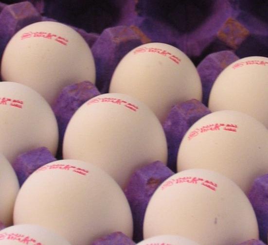 عکس خبري -دستور ويژه براي ذخيره‌سازي تخم‌مرغ