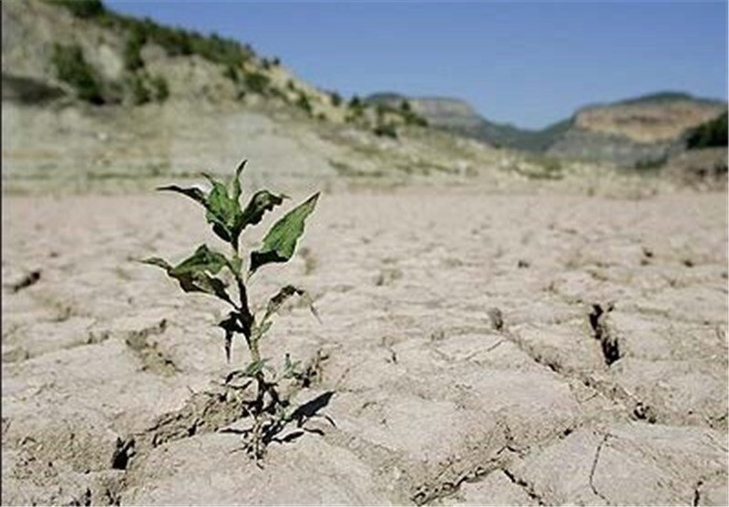 بحران خشکسالي در بخش کشاورزي | بارشي در کار نيست