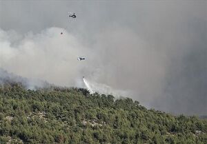 عکس خبري -آتش‌سوزي مجدد در جنگل‌هاي ارسباران/ بالگرد و هواپيماي آب‌پاش به ارسباران اعزام مي‌شود