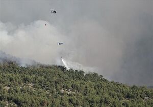 عکس خبري -آتشسوزي مجدد در جنگلهاي ارسباران/ بالگرد و هواپيماي آبپاش به ارسباران اعزام ميشود