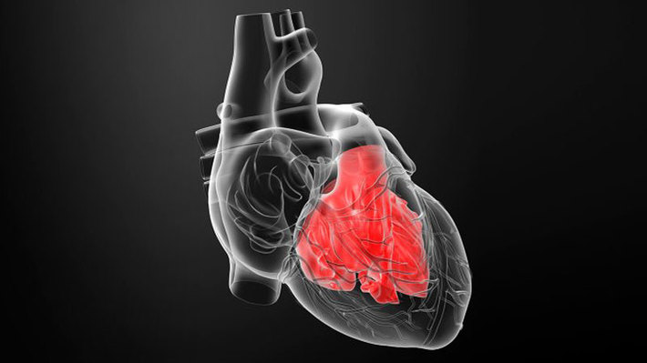 عکس خبري - خطر التهاب عضله قلب با تزريق واكسن كرونا جدى نيست