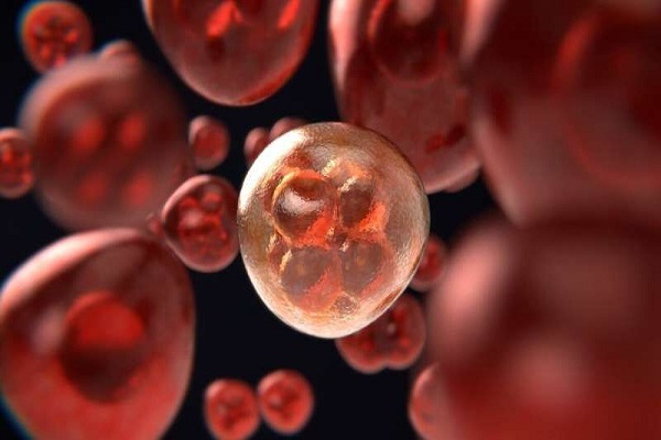 عکس خبري - رويکردي جديد براي درمان سرطان خون