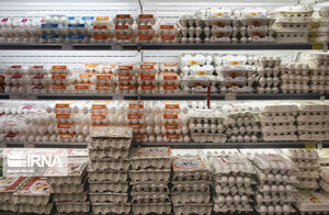 عکس خبري -بازار مرغ منجمد و تخم‌مرغ اشباع مي‌شود